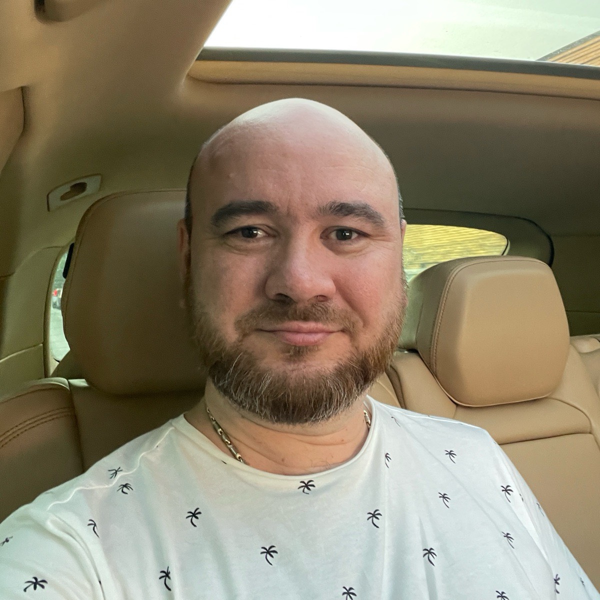 Андрей Толмачев