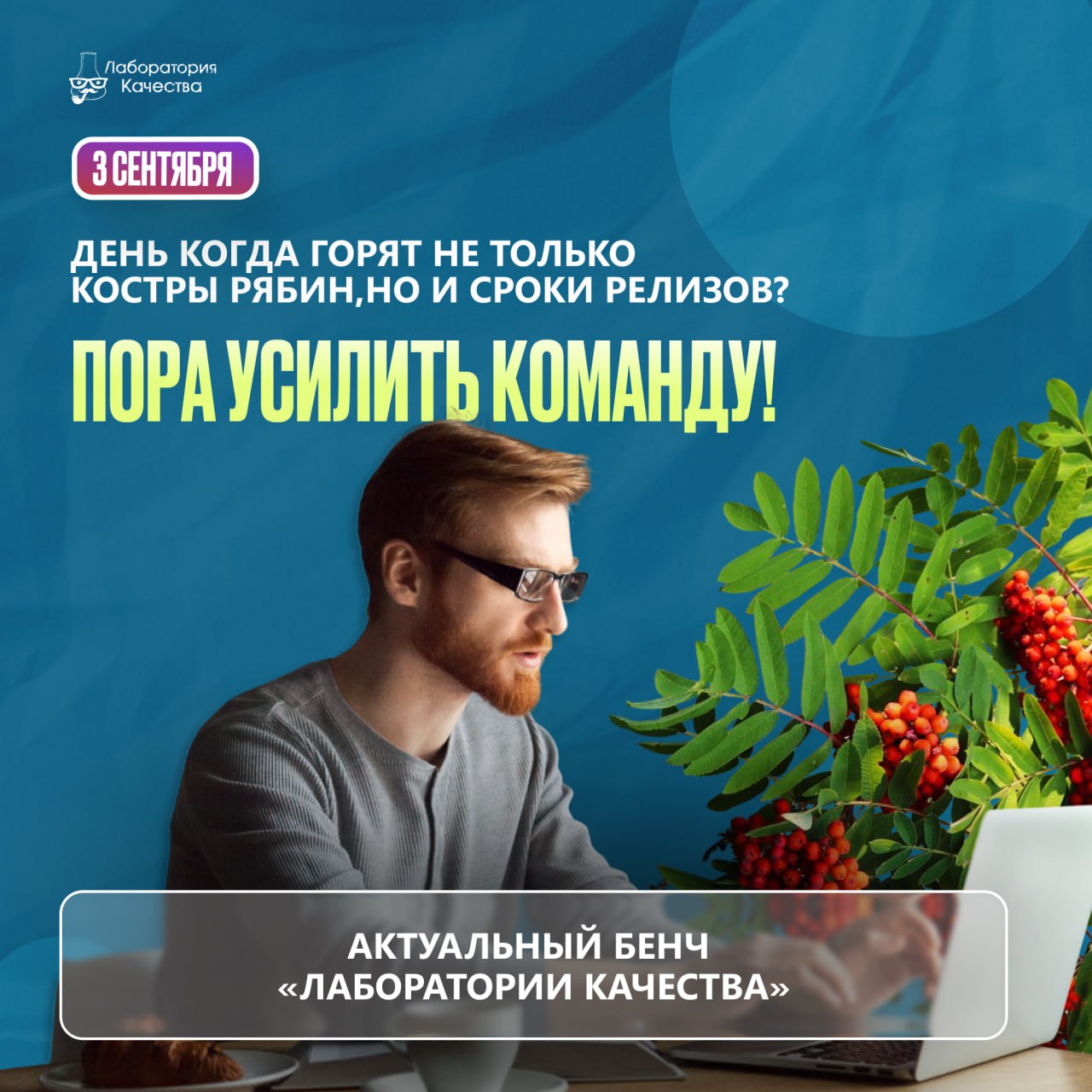 Актуальный бенч тестировщиков «Лаборатории качества» | Сетка — социальная сеть от hh.ru