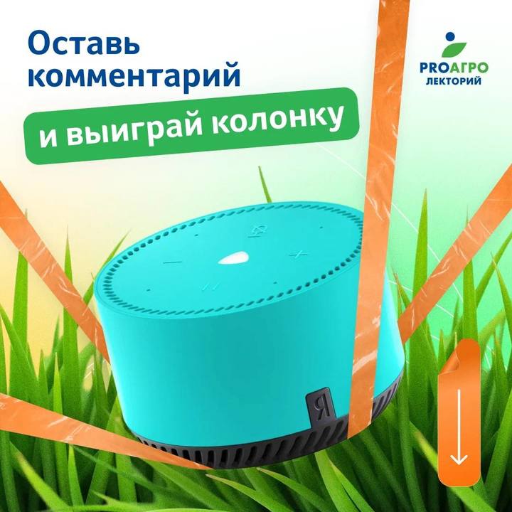 🎉 Учебный год только начинается – и мы хотим сделать его еще ярче! Запускаем конкурс: разыгрываем умную колонку, твоего нового верного спутника в учебе | Сетка — социальная сеть от hh.ru