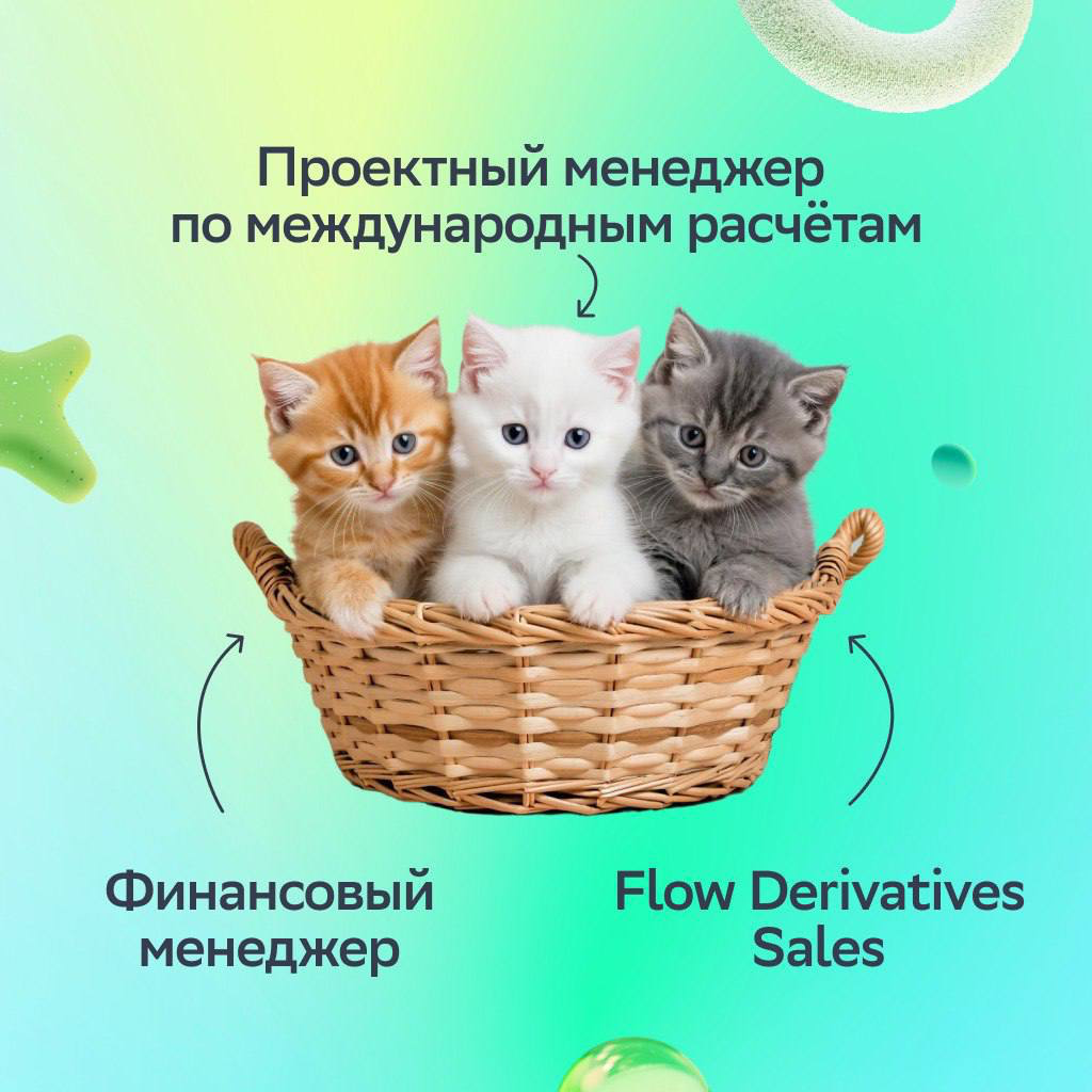 Если спросят, как мы видим наших будущих коллег, просто покажем этих дружелюбных пушистиков!
Решать интересные задачи и создавать классные проекты в такой команде — одно удовольствие | Сетка — социальная сеть от hh.ru