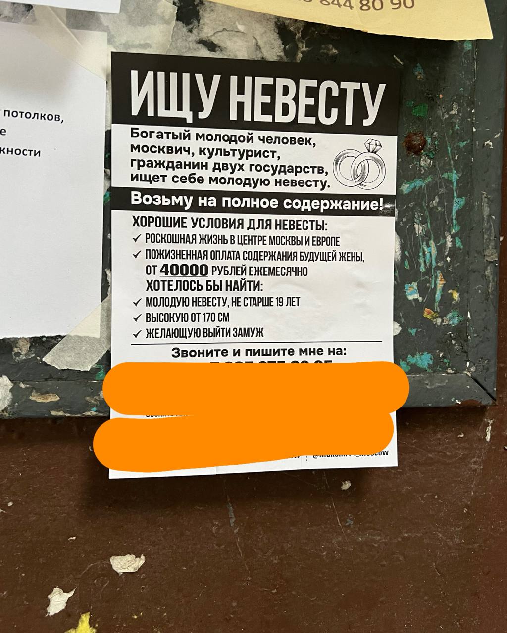 Девочки, кому?) | Сетка — социальная сеть от hh.ru