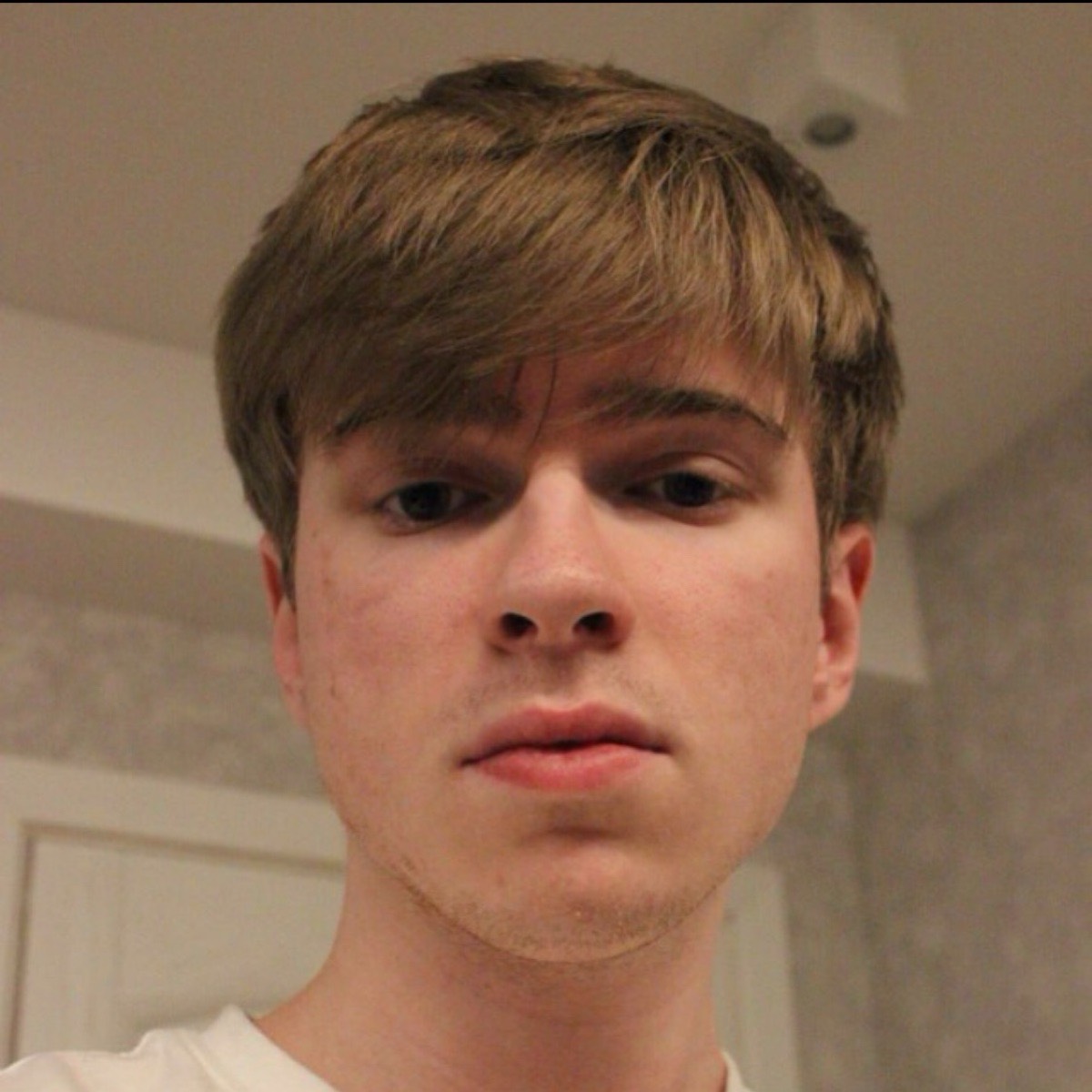 Даниил Дмитриев | Сетка — социальная сеть от hh.ru