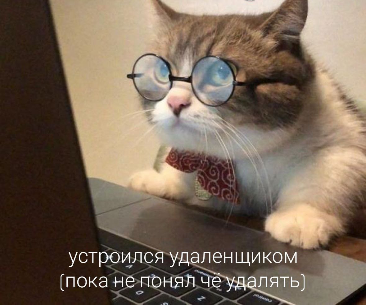 Хочу рассказать вам о своей жизни в формате «работа из дома» — да-да, та самая удалённая работа, о которой многие мечтают (и не только мечтают)!
Уже почти 4 года я работаю из дома, и это, скажу я вам,... | Сетка — социальная сеть от hh.ru
