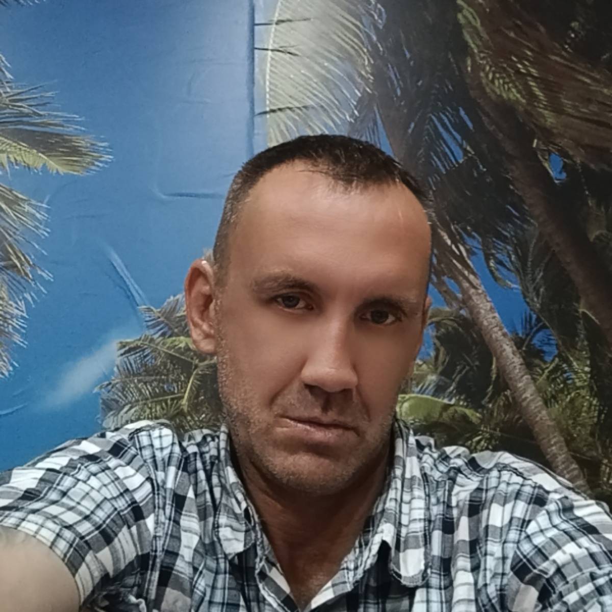 Антон Черепецкой | Сетка — социальная сеть от hh.ru