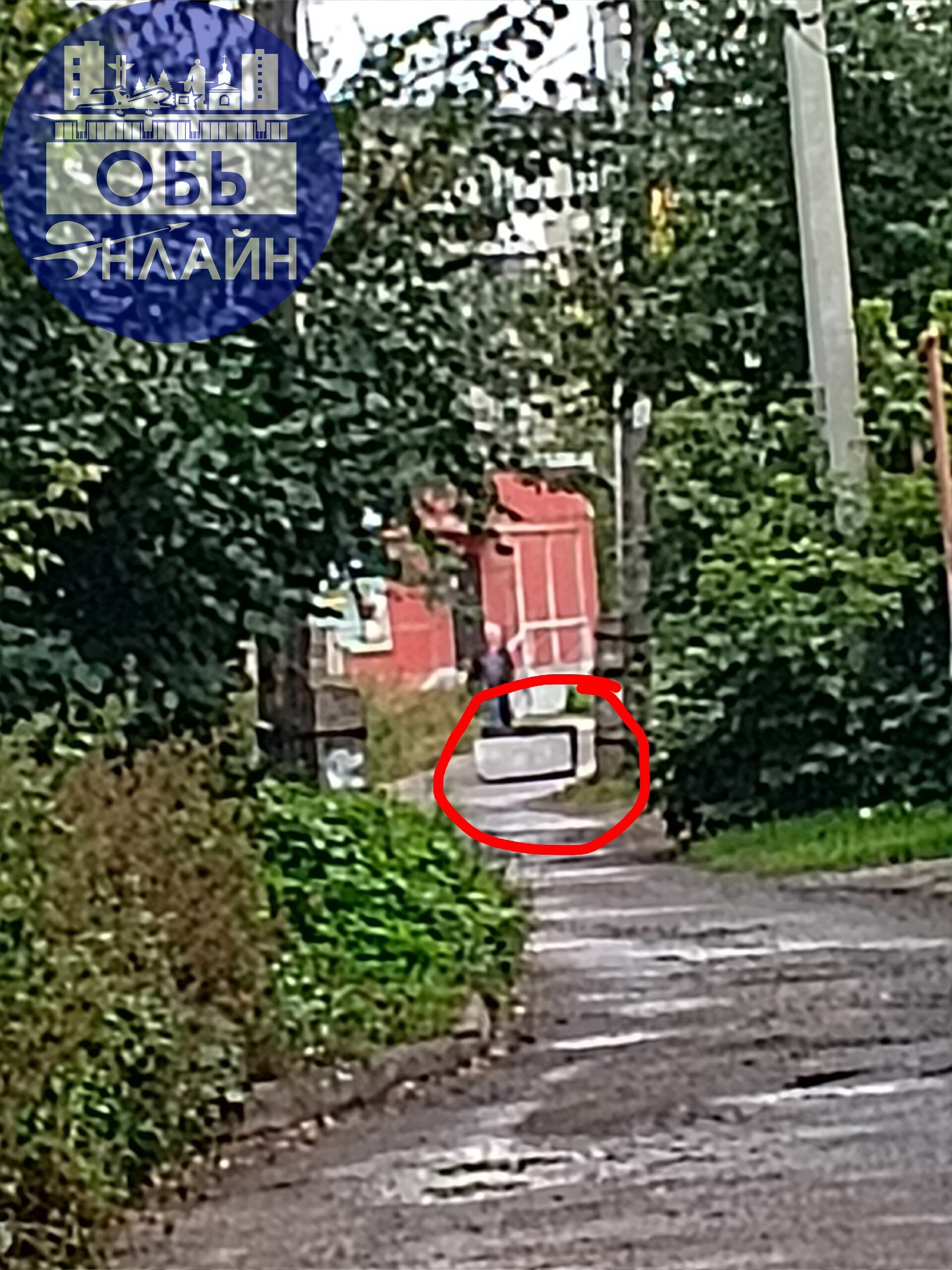 ↗ Вот так идёшь себе спокойно, а перед тобой с крыши прилетает это чудо! И думаешь, что второй день рождения у тебя! На столько в шоке, что сфотографировать вспомнила уже когда прошла .. | Сетка — социальная сеть от hh.ru