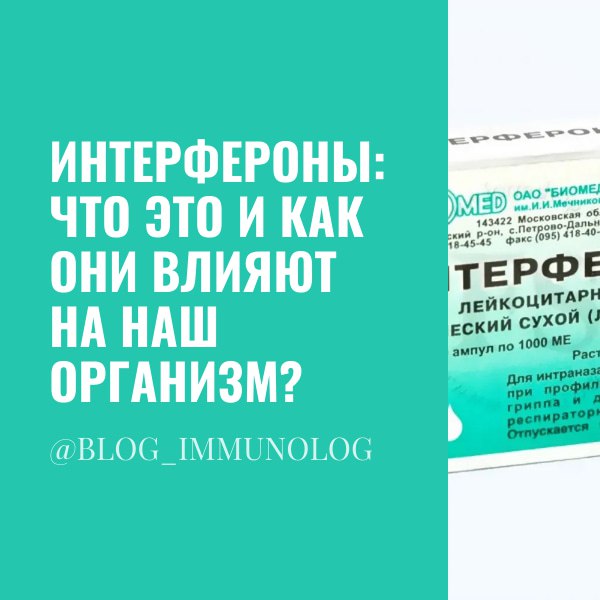 🌟 Интерфероны: что это и как они влияют на наш организм? 🌟
Вы когда-нибудь слышали о интерферонах? 🤔 Это общее название для группы белков, которые вырабатываются клетками нашего организма в ответ на в... | Сетка — социальная сеть от hh.ru