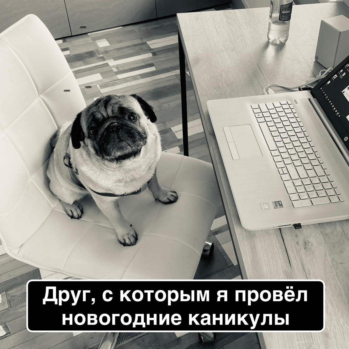 Как я собрал исследование ЦА, которое совпало с агентским | Сетка — социальная сеть от hh.ru