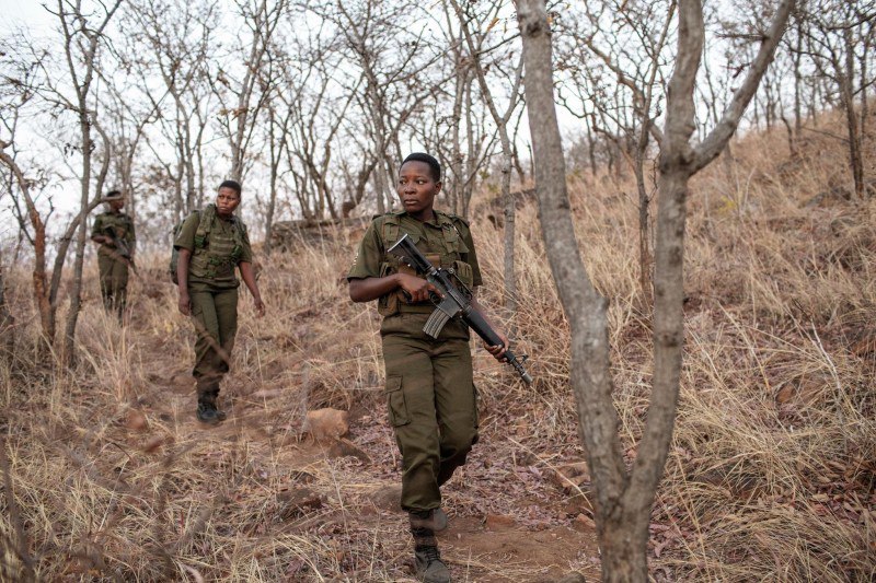 Women Rangers Are Conserving Nature For Future Generations
The Akashinga Project in Phundundu, Zimbabwe (Photo by GIANLUIGI GUERCIA/AFP via Getty Images)
World Ranger Day commemorates rangers killed o... | Сетка — социальная сеть от hh.ru