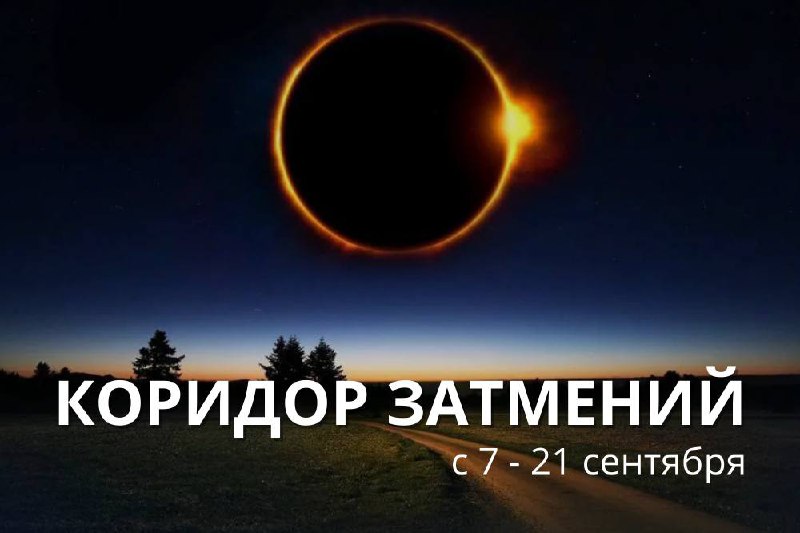 ♌️︎♒️︎ ЗАТМЕНИЯ НА ОСИ ЛЕВ — ВОДОЛЕЙ: ВЕТЕР ПЕРЕМЕН И ПЕРЕОСМЫСЛЕНИЕ ЖИЗНЕННЫХ ЦЕННОСТЕЙ
Цикл затмений на оси Лев — Водолей открывает для нас период масштабных трансформаций, где каждая сфера жизни мо... | Сетка — социальная сеть от hh.ru