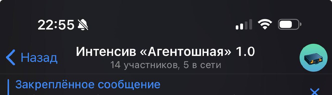 Запуск Агентошной
Сегодня открыл запись на интенсив для руководителей агентств.
Это новый для меня формат, но я чувствую насколько он востребованный | Сетка — социальная сеть от hh.ru