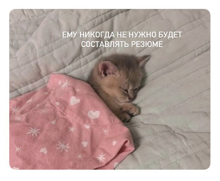 И тем более проходить собеседования... 😪 | Сетка — социальная сеть от hh.ru