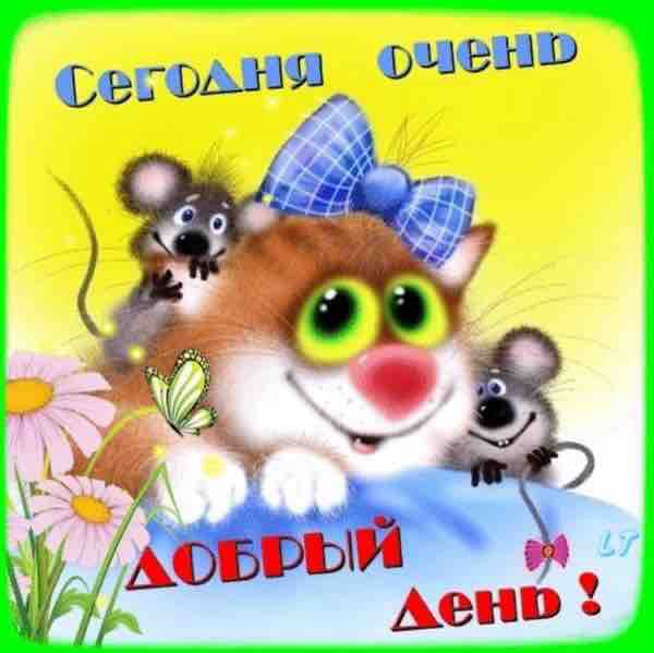 Дарья Гладышева