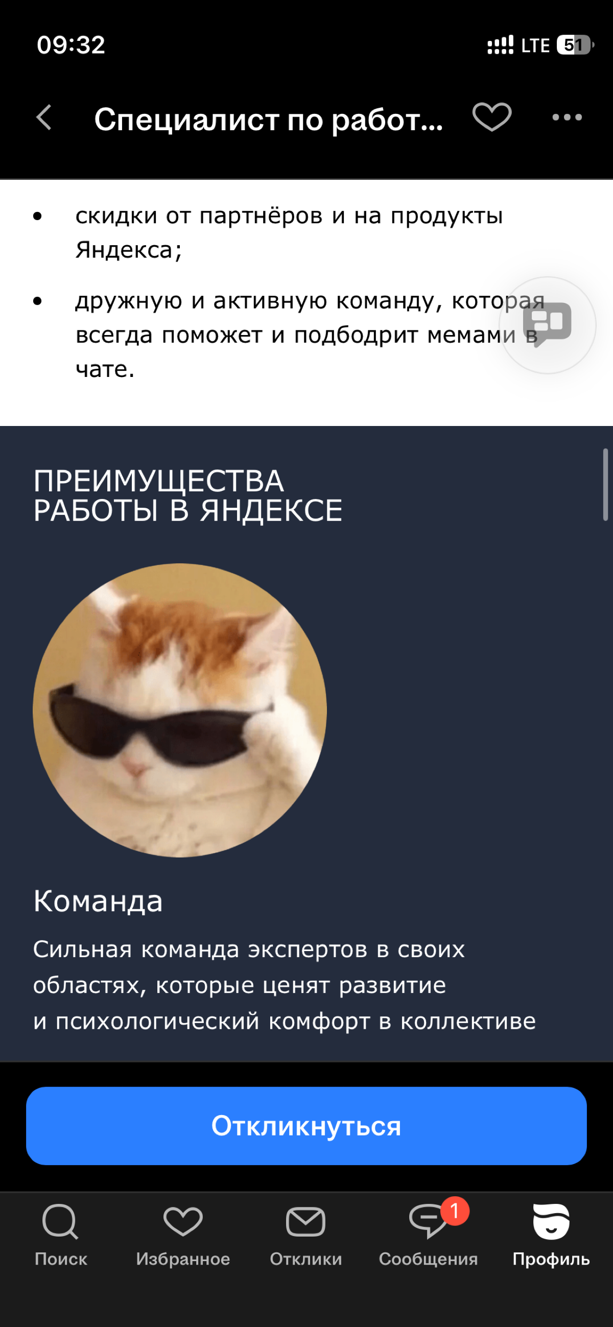 Вакансия на грани шизофрении. Просто попробуйте вдуматься | Сетка — социальная сеть от hh.ru