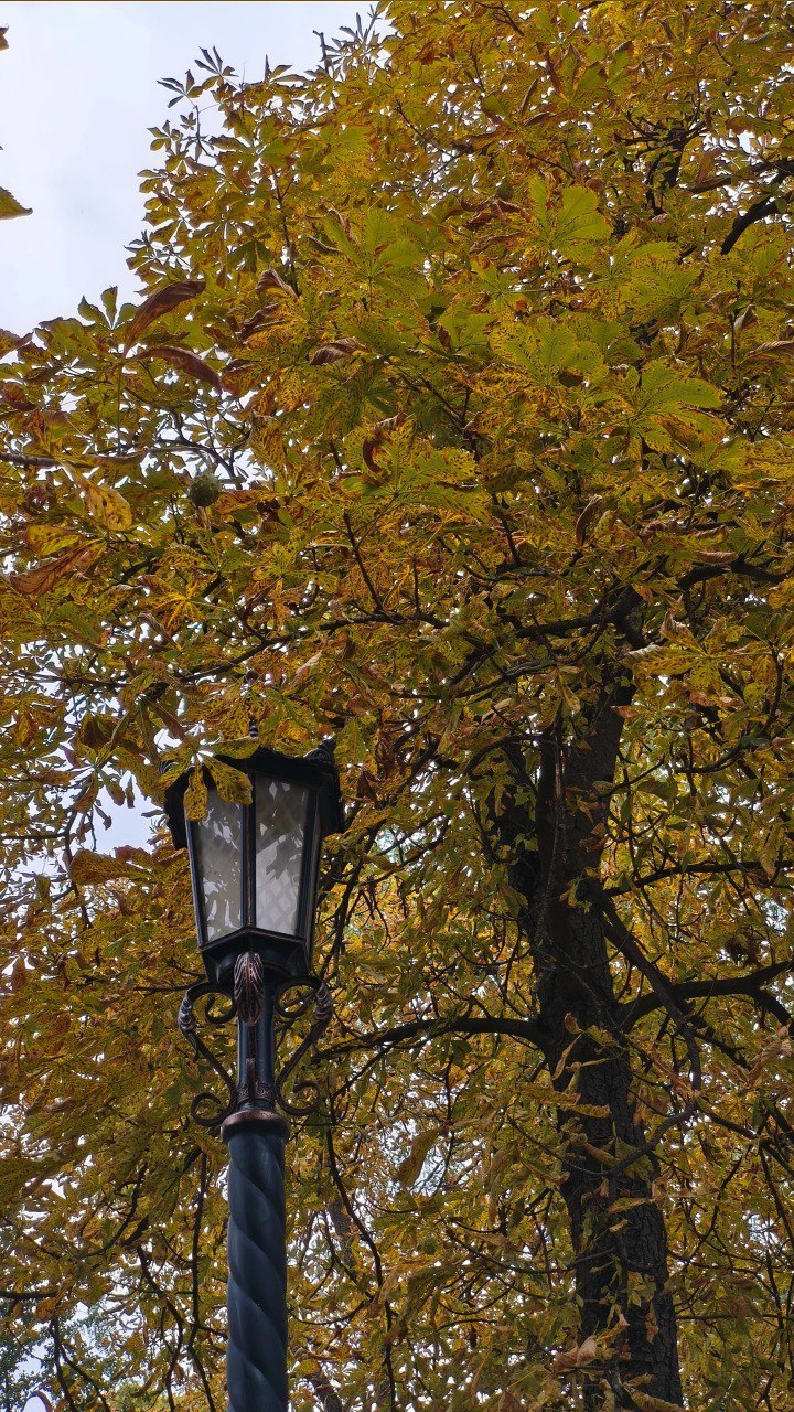 🍂 Сентябрь в Ставрополе
📷 Elena Drogaitseva | Сетка — социальная сеть от hh.ru