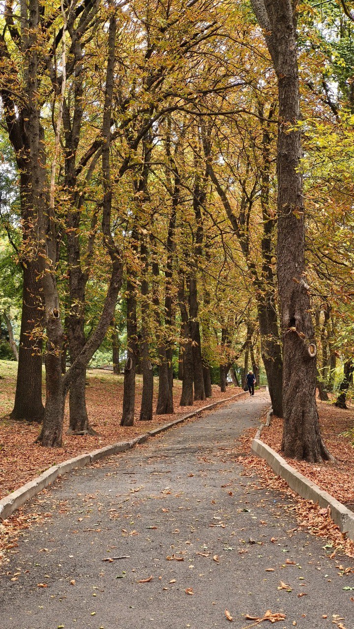 🍂 Сентябрь в Ставрополе
📷 Elena Drogaitseva | Сетка — социальная сеть от hh.ru