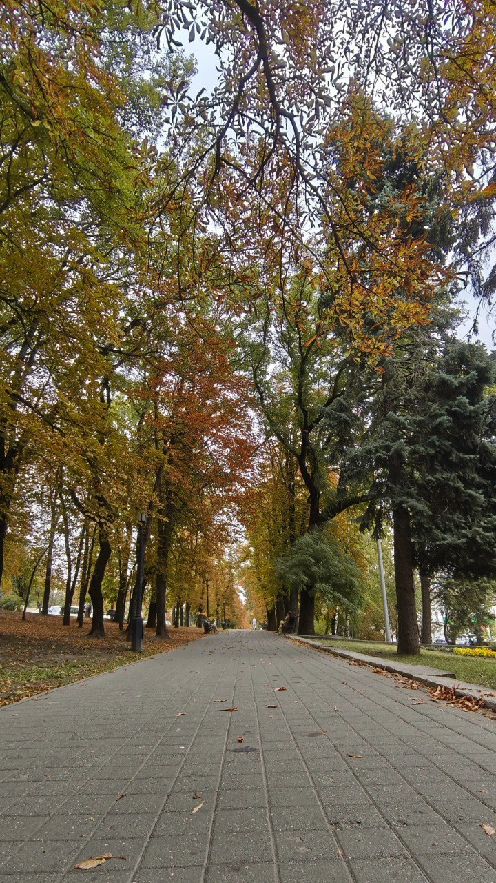 🍂 Сентябрь в Ставрополе
📷 Elena Drogaitseva | Сетка — социальная сеть от hh.ru