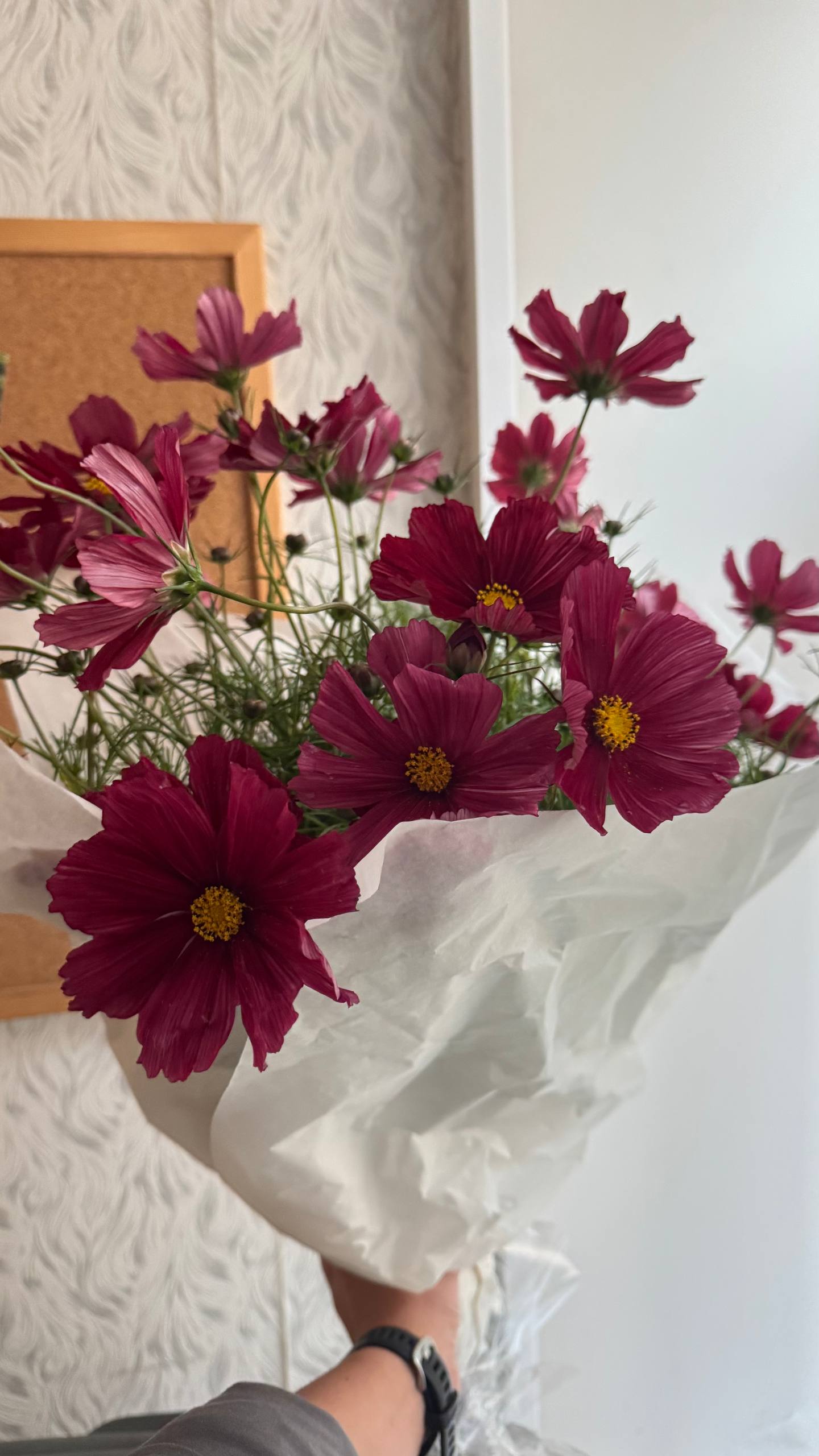 Подарила себе букет. Космеи.
Мама говорит, что раньше такие росли на клумбах. Похоже, Сергей Семёнович где-то еще не дорабатывает.
Самое приятное в этих цветах после их косматости — происхождение | Сетка — социальная сеть от hh.ru