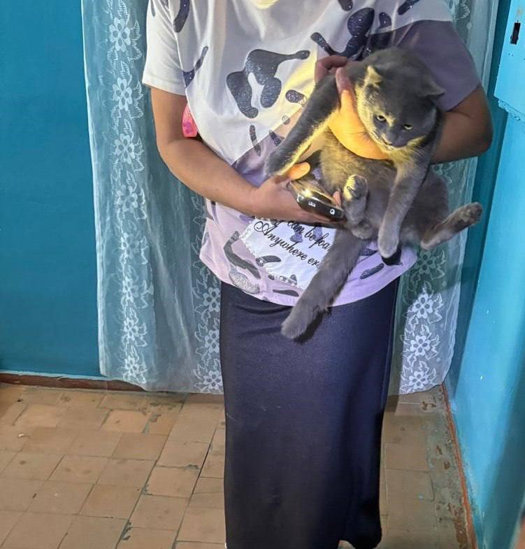 🐱В Красногвардейском спасли кота, застрявшего в электрощите
Сегодня утром жительница села обратилась в ПАСС СК, её кот забрался в электрощит и не смог выбраться | Сетка — социальная сеть от hh.ru