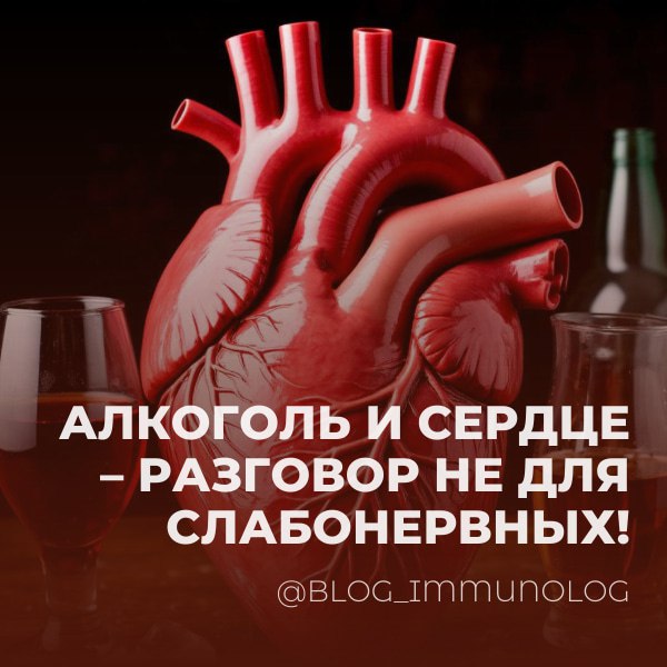 ⚠️ Внимание: Алкоголь и Сердце – Разговор не для слабонервных! 💔
Свежее исследование в Circulation бьёт тревогу 🚨: даже умеренное употребление алкоголя может быть далеко не таким безобидным, как мы пр... | Сетка — социальная сеть от hh.ru