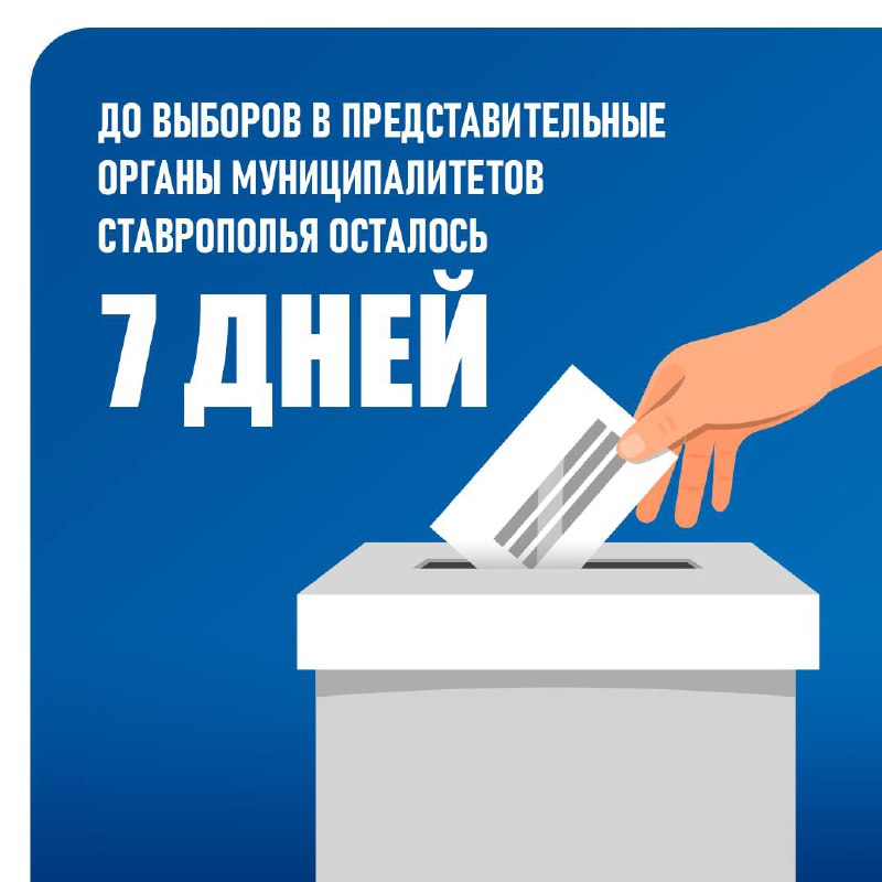 У вас осталась 1 неделя… до чего?🫣
До выборов депутатов в представительные органы муниципалитетов Ставрополья | Сетка — социальная сеть от hh.ru