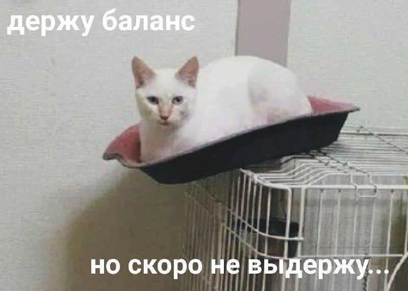 мы? | Сетка — социальная сеть от hh.ru
