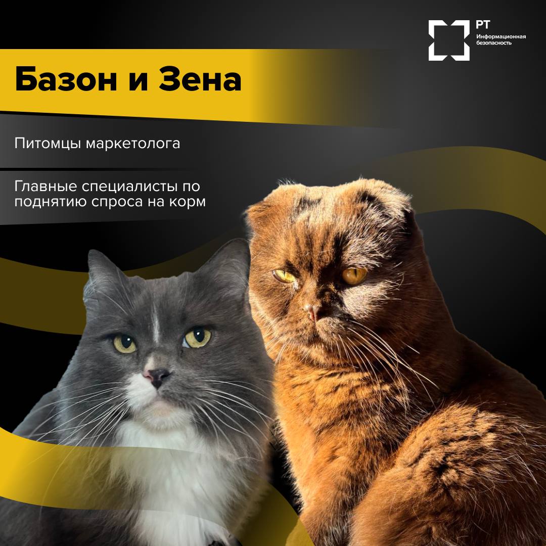 ЗвероПятница 🐾
Команда РТ-ИБ решила выяснить, чем же занимаются питомцы наших специалистов, пока их хозяева погружены в рабочие задачи.
Оказалось, у пушистых сотрудников тоже хватает дел | Сетка — социальная сеть от hh.ru