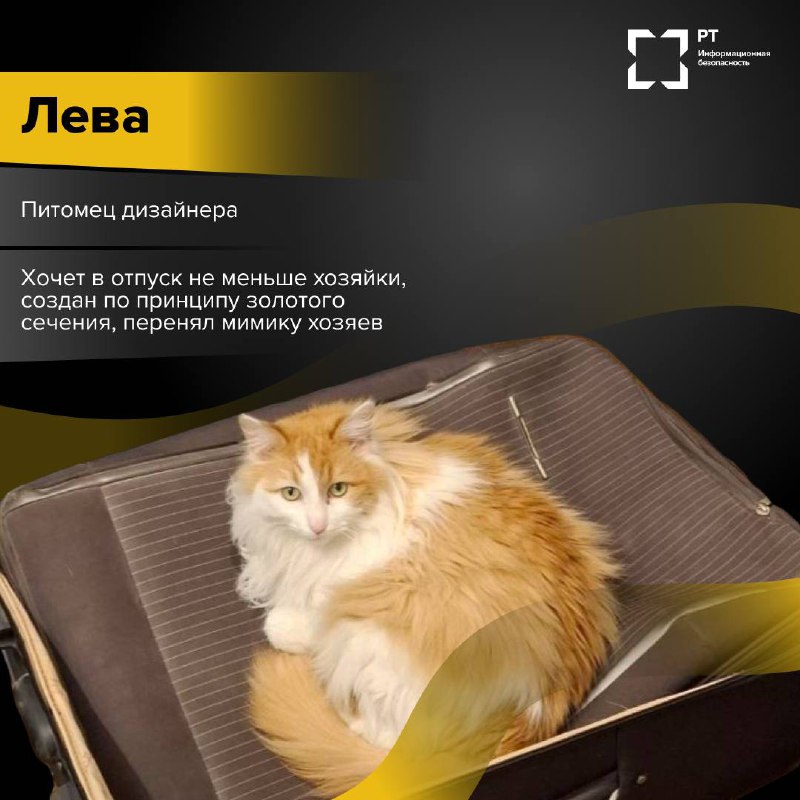 ЗвероПятница 🐾
Команда РТ-ИБ решила выяснить, чем же занимаются питомцы наших специалистов, пока их хозяева погружены в рабочие задачи.
Оказалось, у пушистых сотрудников тоже хватает дел | Сетка — социальная сеть от hh.ru