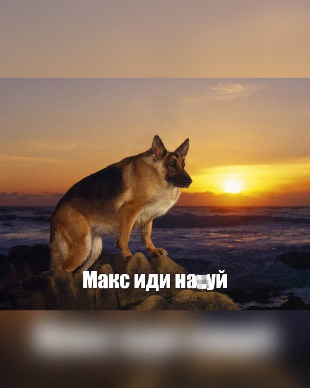 АААА! Новым сотрудникам мессенджера MAX сейчас выдают фирменные блокноты с той самой сутулой овчаркой.
То ли у разработчиков госмессенджера появилась самоирония, то ли они правда не в курсе 🐶 | Сетка — социальная сеть от hh.ru