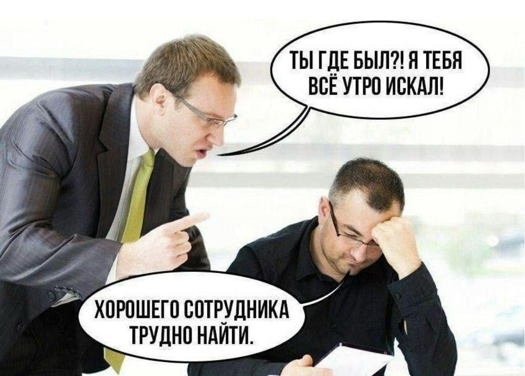 HRD в международной логистике: мифы и реальность 🌍🚛 | Сетка — социальная сеть от hh.ru