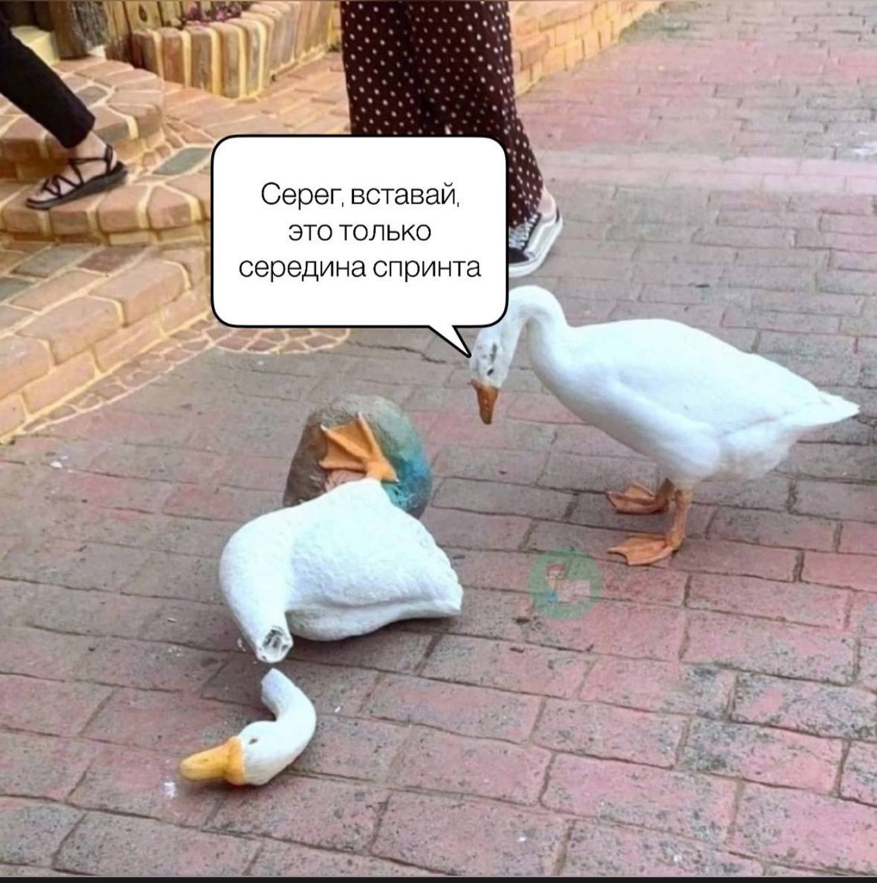 #пятничное
Состояние под вечер пятницы.
Всем хороших выходных! | Сетка — социальная сеть от hh.ru