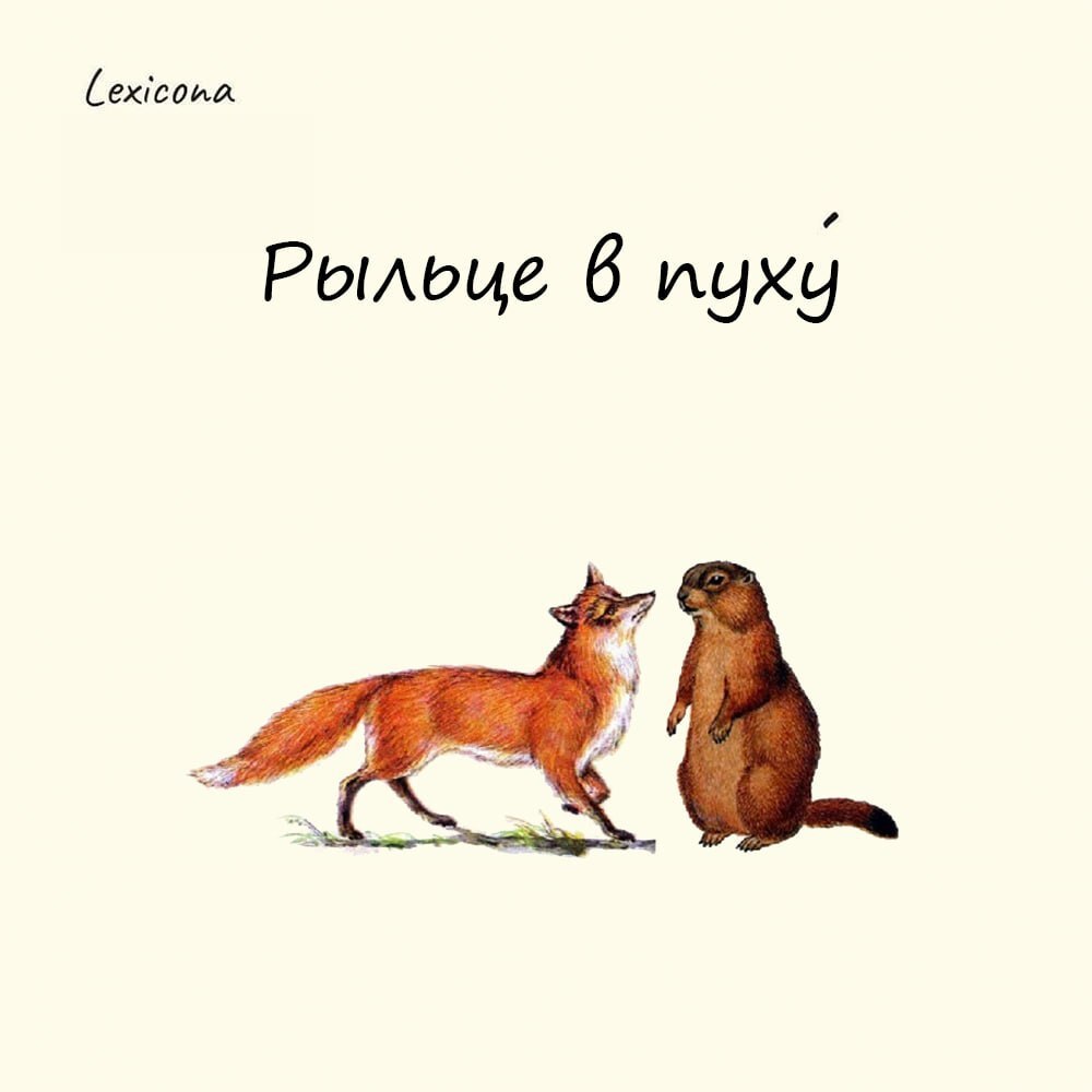 Рыльце в пуху 🦊
«Рыльце в пуху» у того, кто пусть и неявно, но замешан в нехороших делах | Сетка — социальная сеть от hh.ru