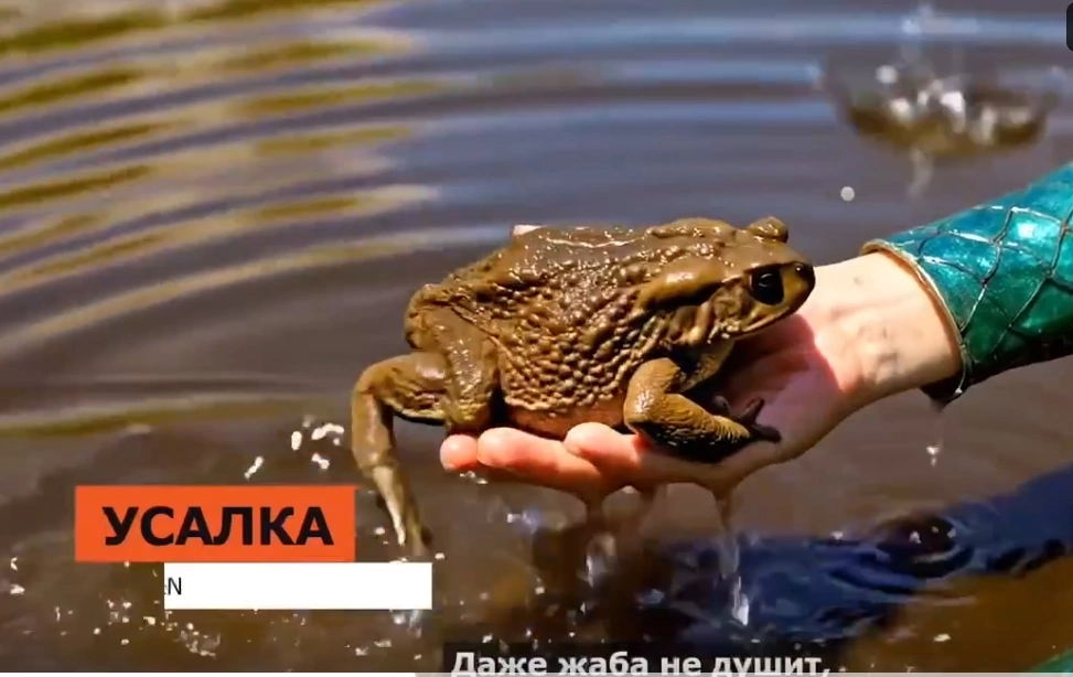 ИИ-ролики в рекламе новостроек | Сетка — социальная сеть от hh.ru