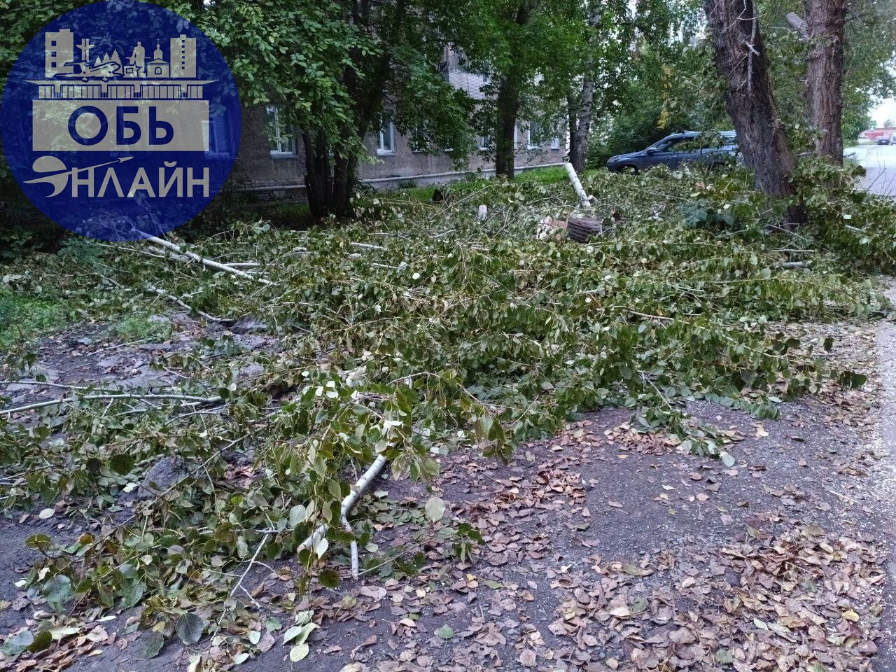 ↗ Военный городок завалили спиленными ветками
vk.com
Подробнее на https://vk.com/ob.gorod
#городобь #городобьонлайн #толмачево | Сетка — социальная сеть от hh.ru