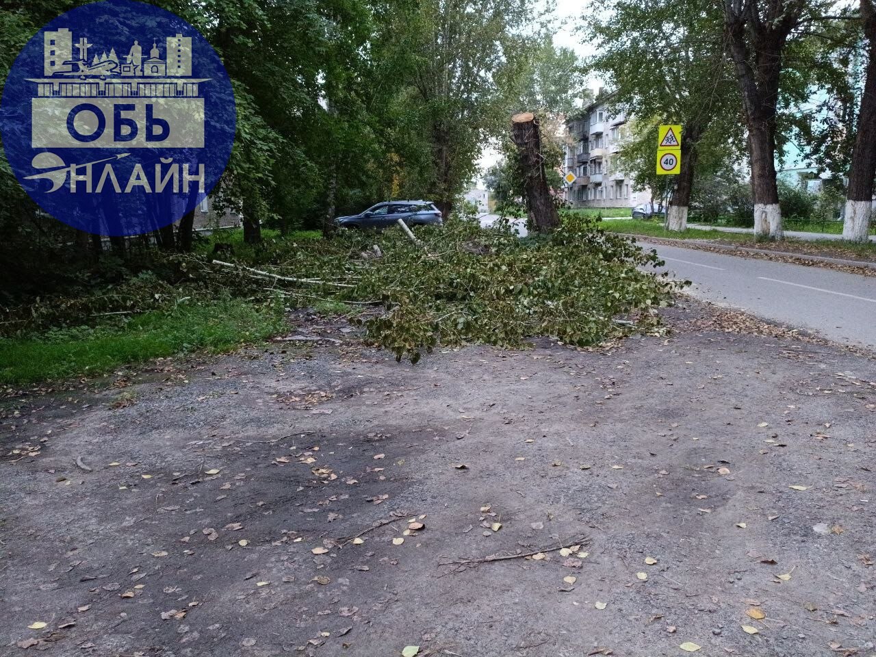 ↗ Военный городок завалили спиленными ветками
vk.com
Подробнее на https://vk.com/ob.gorod
#городобь #городобьонлайн #толмачево | Сетка — социальная сеть от hh.ru