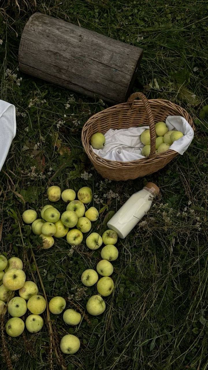 🍏Фестиваль «Урожай»
7 сентября с 12:00 до 18:00
В рамках фестиваля запланированы проведение тематических мастер-классов для детей и взрослых, музыкальная концертная программа, тематические игры и акти... | Сетка — социальная сеть от hh.ru