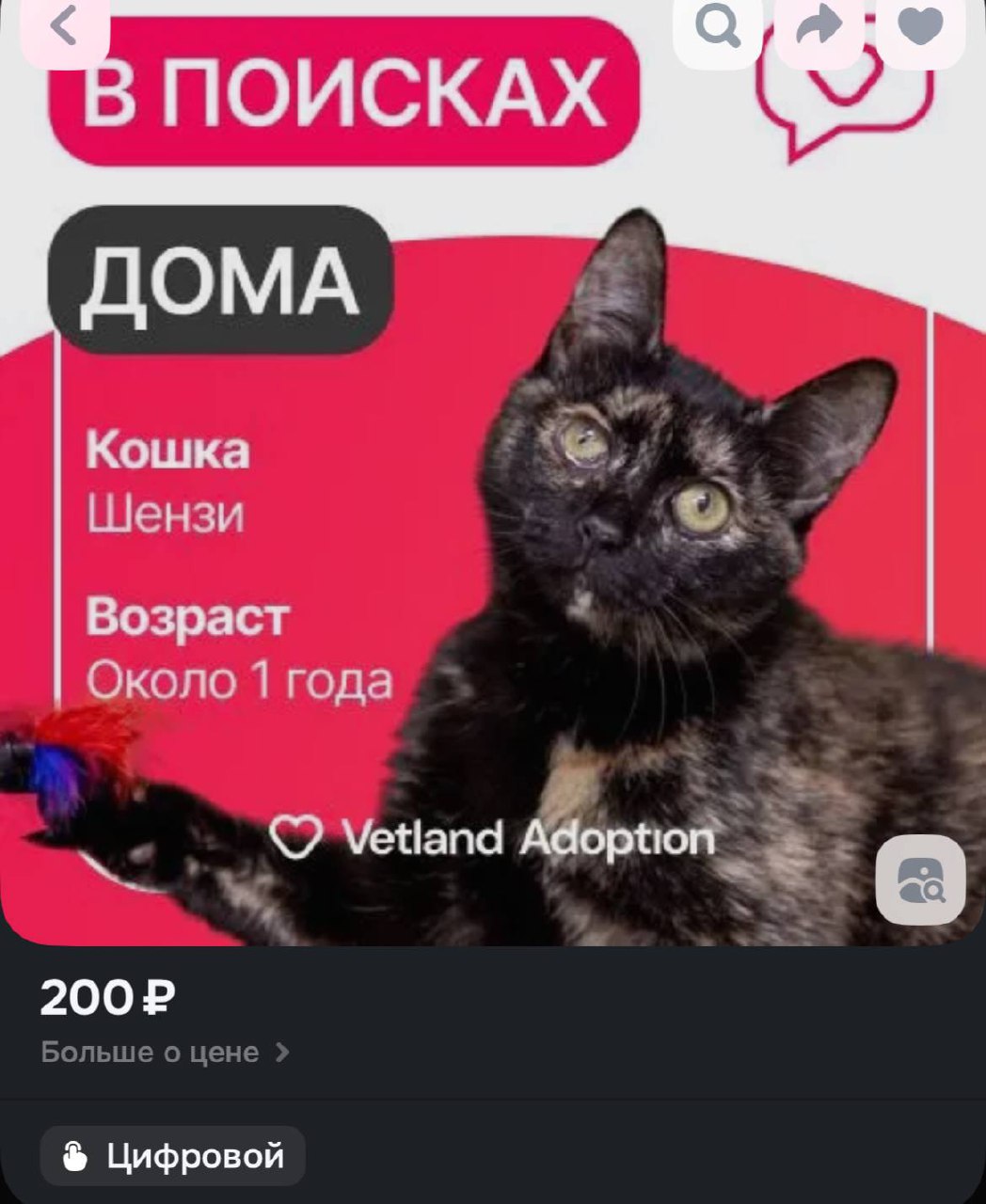 День 6
Отличный день, но рефлексии на сегодня достаточно. 200 р улетело кошечке Шензи
Всем хорошего воскресенья! | Сетка — социальная сеть от hh.ru