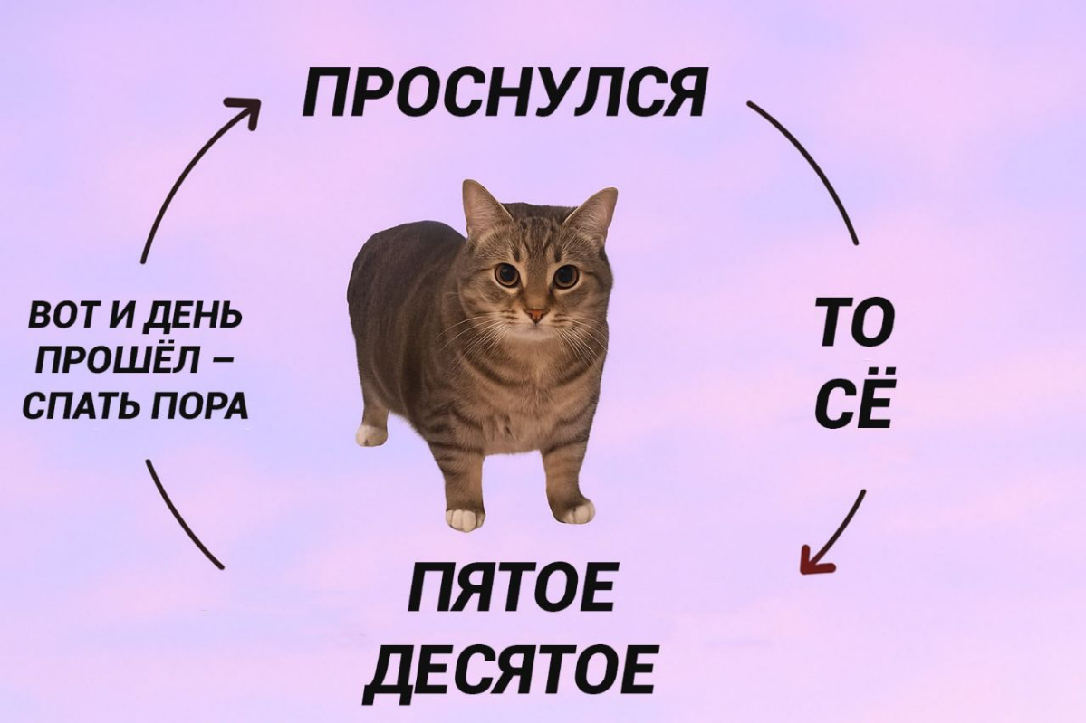 Муд менеджера по продажам: | Сетка — социальная сеть от hh.ru