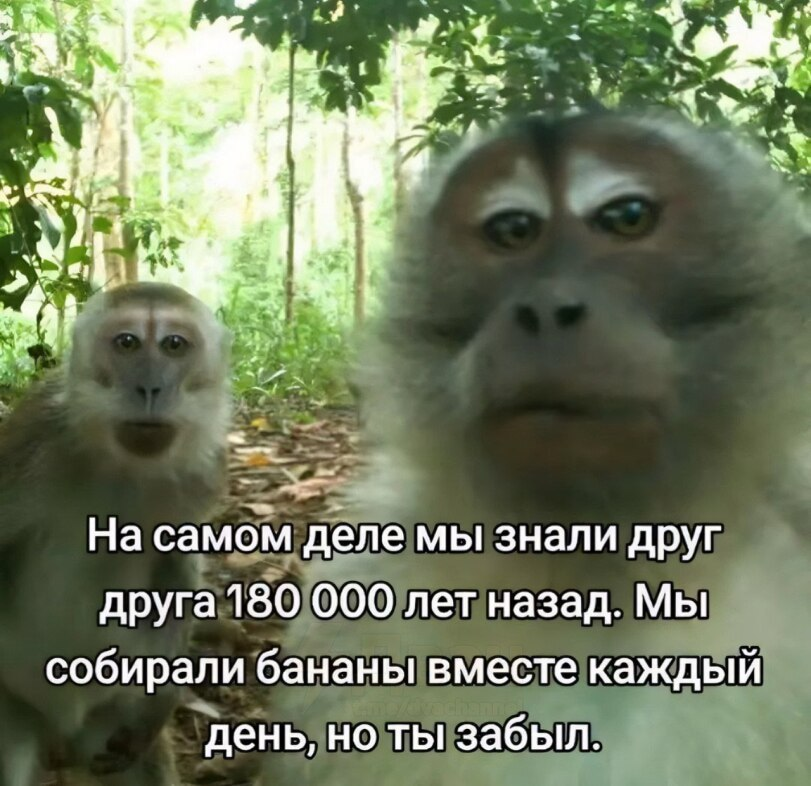 Я узнаю тебя по тайному знаку | Сетка — социальная сеть от hh.ru