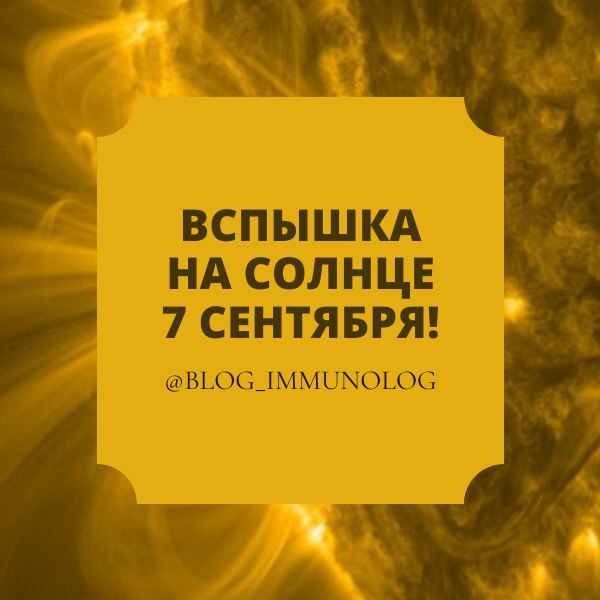 ⚡️Солнце бушует!⚡️
Друзья, Институт прикладной геофизики сообщил о вспышке на Солнце! ☀️ Это произошло в ночь на 7 сентября и была зафиксирована вспышка класса M1.2 | Сетка — социальная сеть от hh.ru