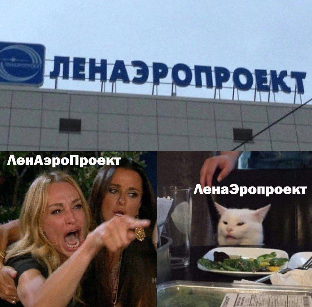 Согласен с котом! ЛенаЭропроект! | Сетка — социальная сеть от hh.ru