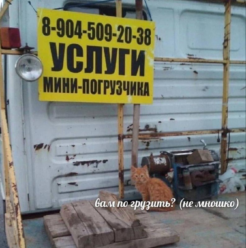 День 7 (прошу засчитать, чуть-чуть опоздала)
🔤 ходила на группу, старалась не спасать
🔤 читала в любимом сквере
🔤 хорошо завтракала
🔤 выспалась | Сетка — социальная сеть от hh.ru