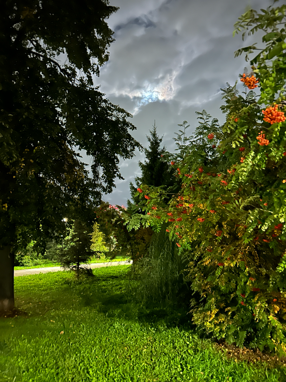 Казань Ночью ♥️ Пока тепло 🌠
Про Регину Рода 😱
Про сценарий закольцовки 👹
Про постоянные препятствия на ходу 💀
рассказываю здесь ⤵️(ВК группа видео в комментариях)
Разобрать свой личный запрос пиши : ... | Сетка — социальная сеть от hh.ru