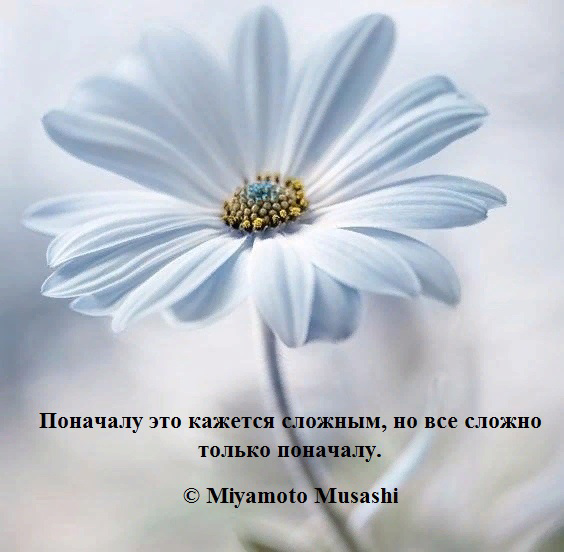 Всем бодрого😊 | Сетка — социальная сеть от hh.ru