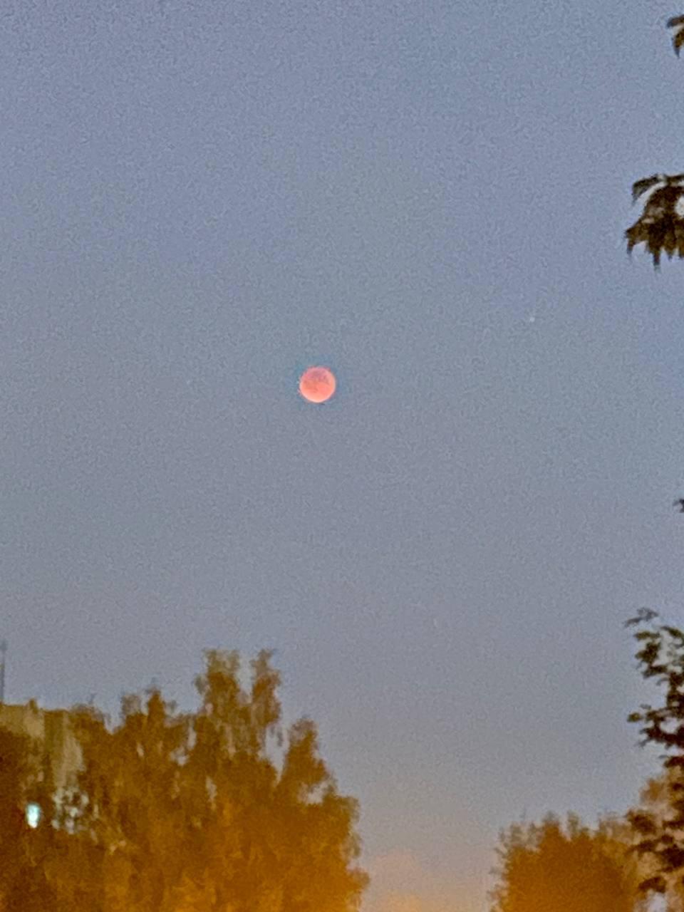 Всем привет!
Сегодня совершенно не подготовился, потому что пытался сфотографировать вчерашнее лунное затмение на телефон | Сетка — социальная сеть от hh.ru