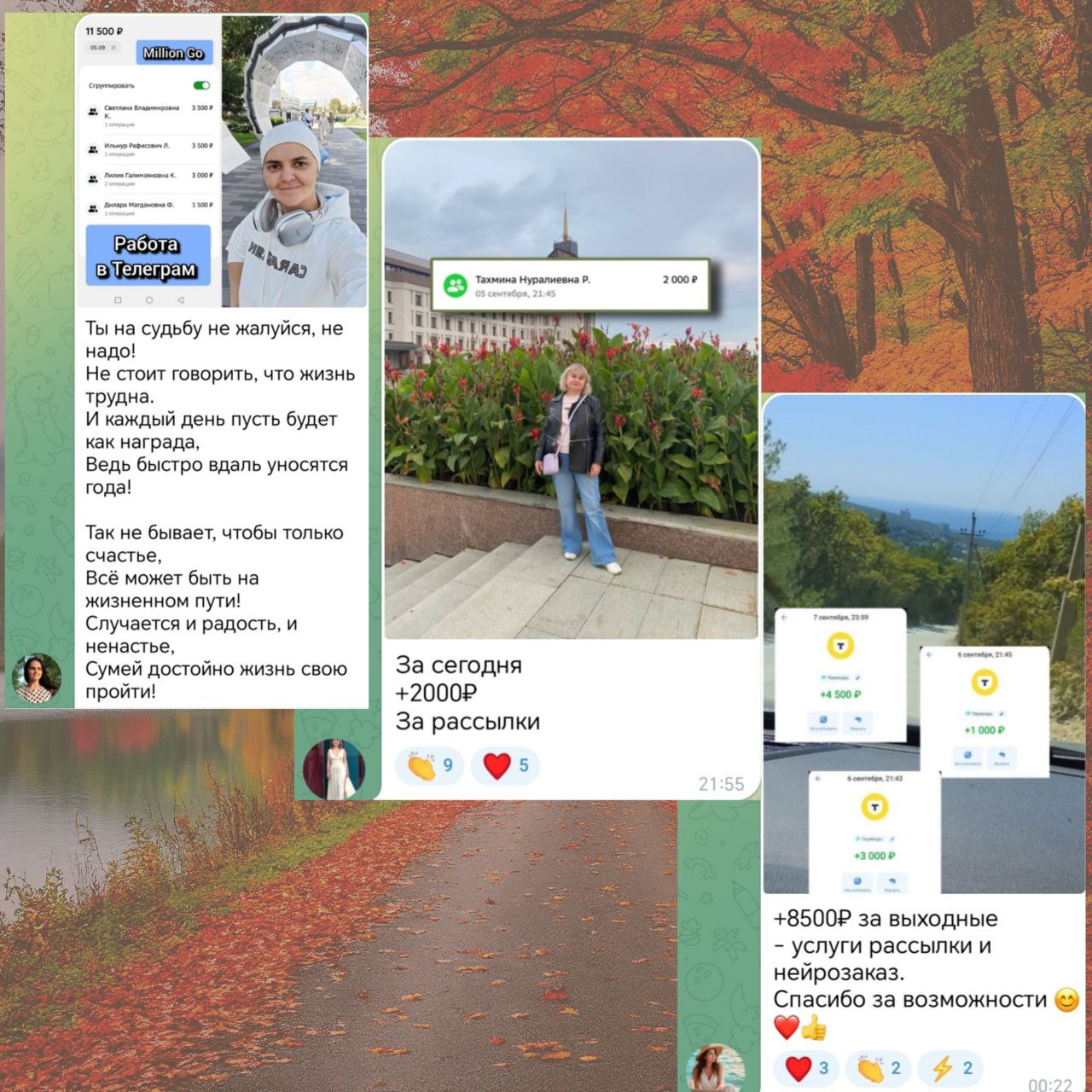 Отзывы | Сетка — социальная сеть от hh.ru