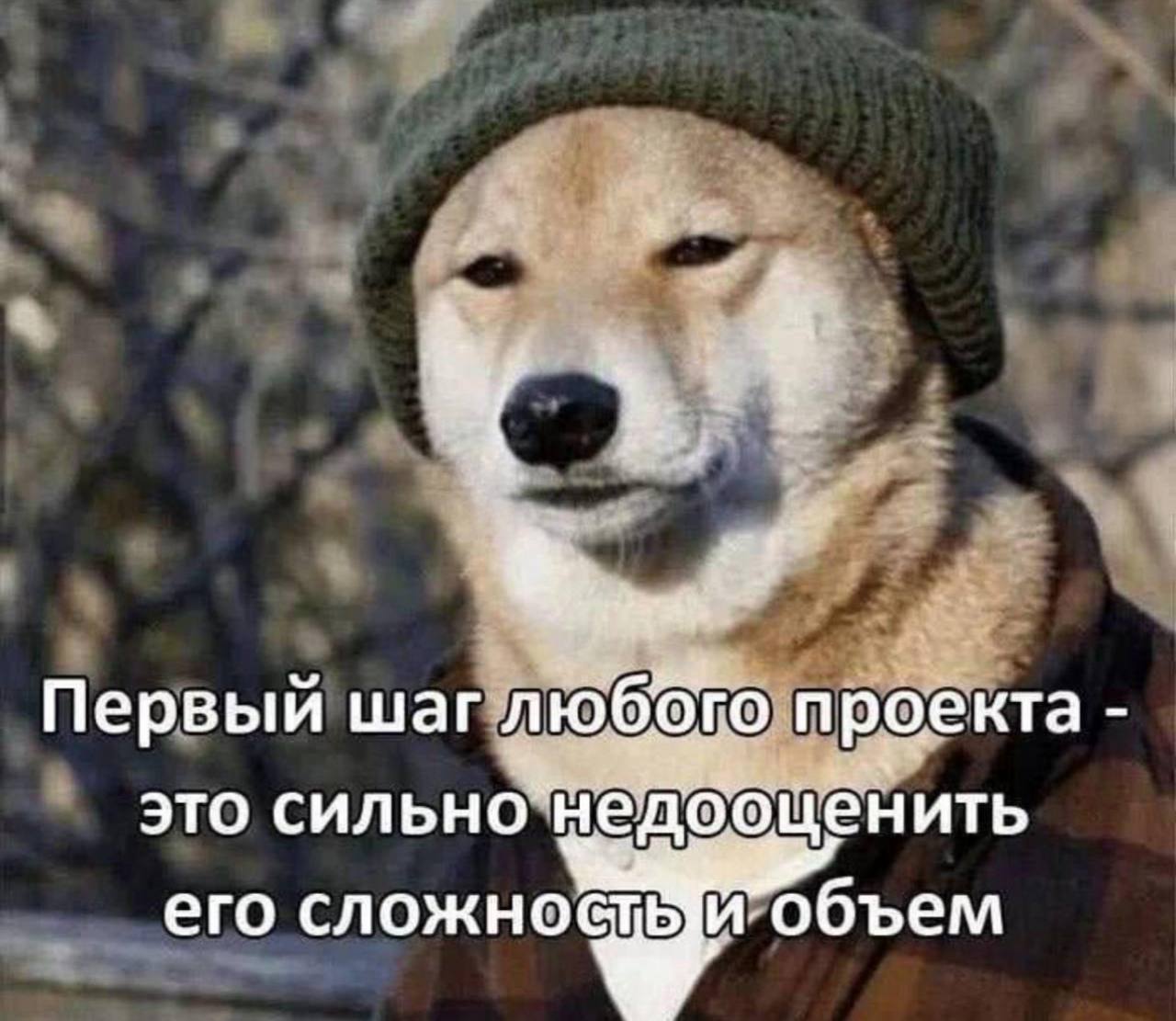 Делись в комментариях мемом сегодняшнего дня.
#понирупор #мемврупор | Сетка — социальная сеть от hh.ru