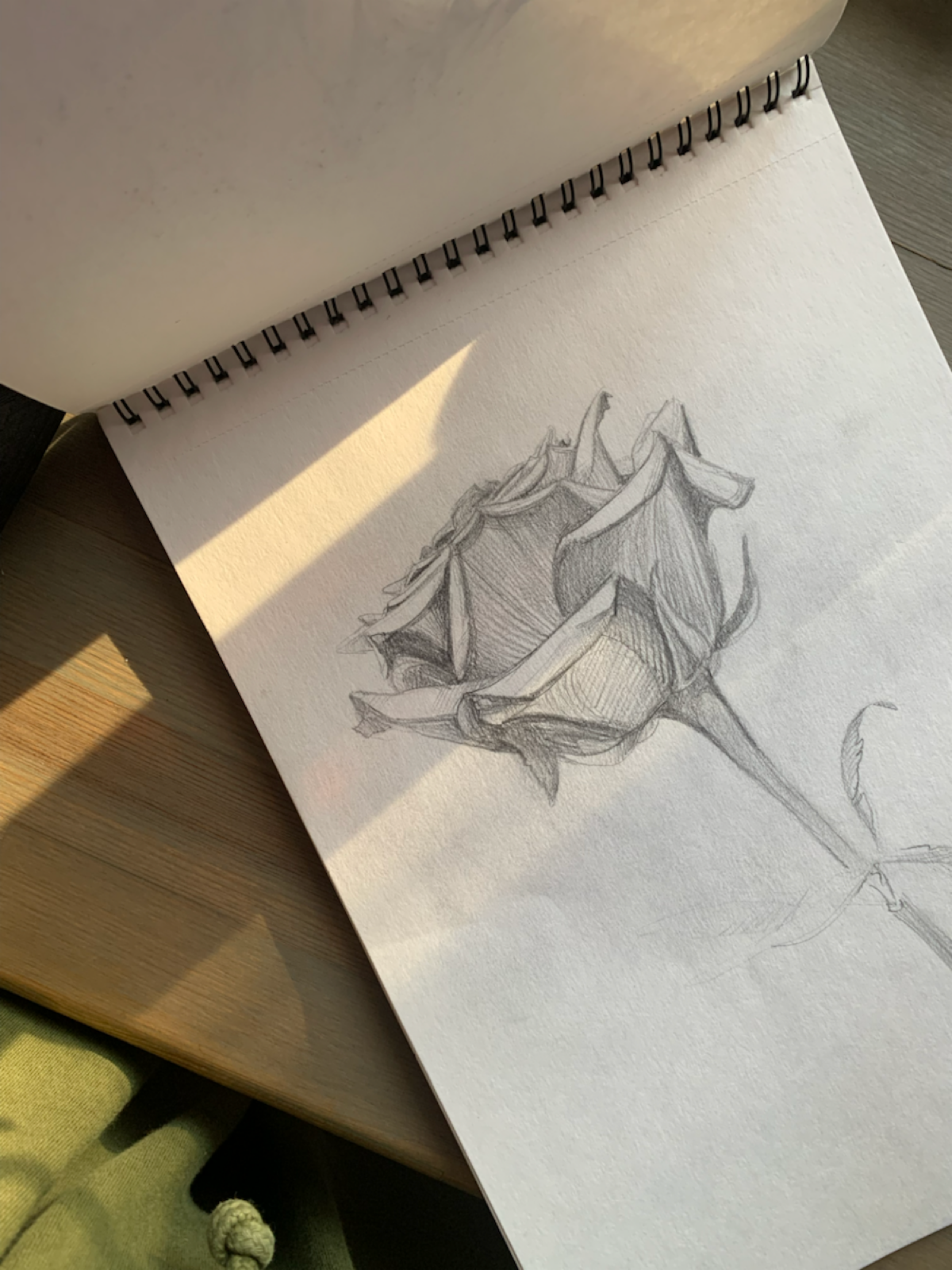 ✍🏼 | Сетка — социальная сеть от hh.ru