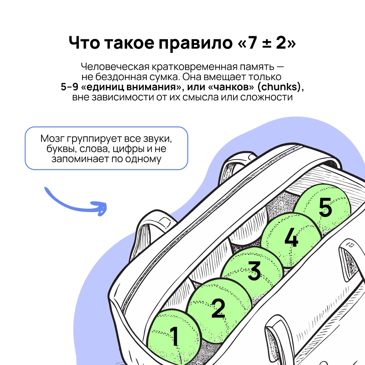 Часто кажется, что забывчивость — это лень или невнимательность. На самом деле мозг не способен удерживать больше 7 фактов одновременно 🧠
В посте разбираем правило Миллера и как его использовать | Сетка — социальная сеть от hh.ru