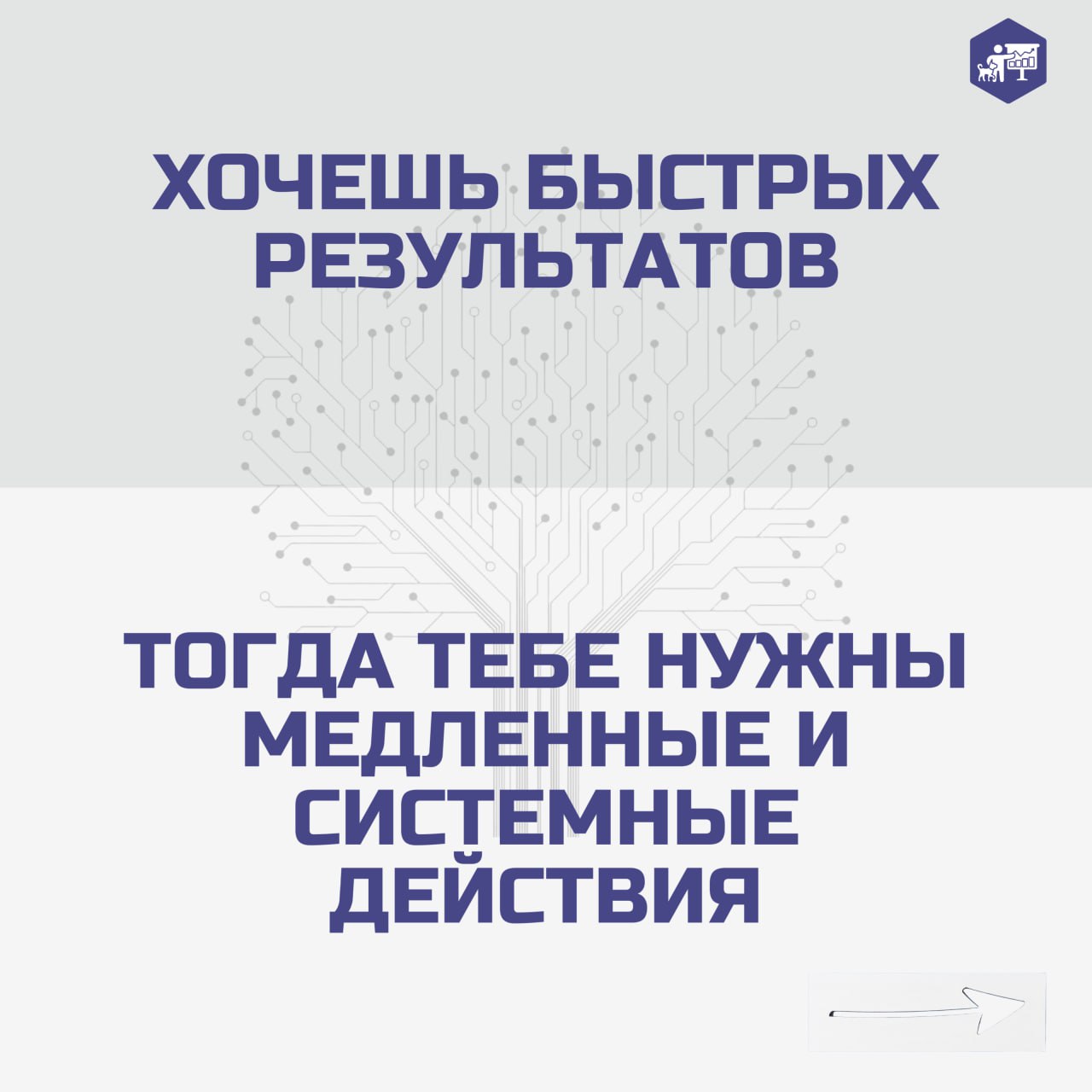 🪞 Сотрудники как зеркало компании — это не просто красивая метафора, а суровая реальность бизнеса.
#ветеринарныефинансы | Сетка — социальная сеть от hh.ru