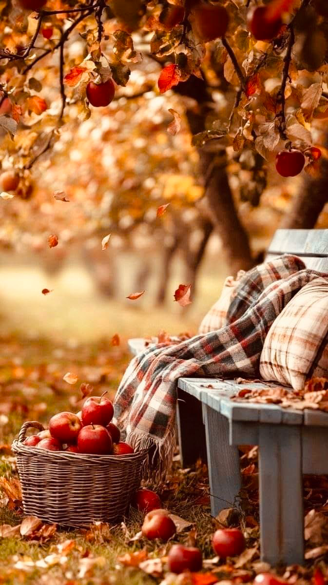 #autumn | Сетка — социальная сеть от hh.ru